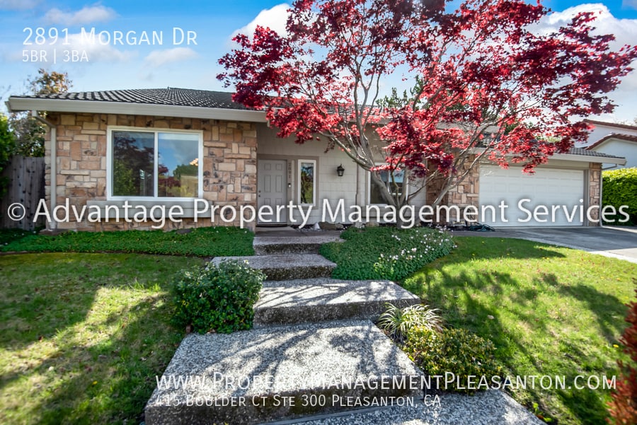 2891 Morgan Dr in San Ramon, CA - Building Photo