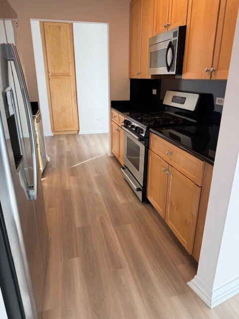 33 W Ontario St, Unit 20F in Chicago, IL - Building Photo
