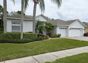 11349 Wedgemere Dr in Trinity, FL - Building Photo