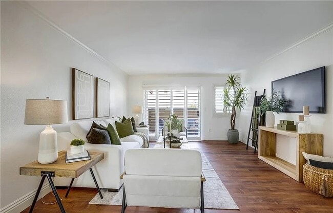 property at 26142 Serrano Ct