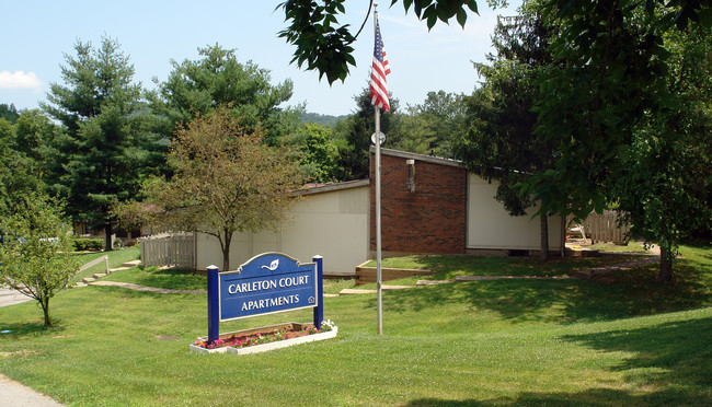 Carleton Court Apartments in Charleston, WV - Building Photo - Building Photo