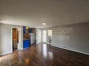 1140 N Downing St in Denver, CO - Building Photo - Building Photo