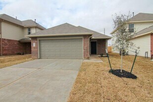 24102 Avogadro Dr in Katy, TX - Building Photo