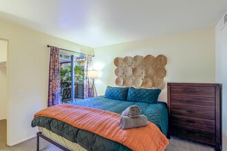 6202 Friars Rd in San Diego, CA - Foto de edificio - Building Photo