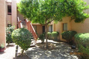 3131 W Cochise Dr