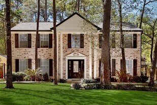 35 Berryfrost Ln in Spring, TX - Building Photo