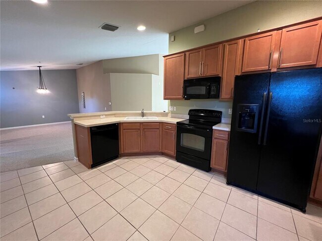2119 River Turia Cir in Riverview, FL - Building Photo - Building Photo