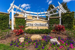 321 Winter Nellis Cir in Winter Garden, FL - Building Photo