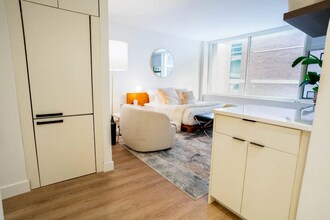 29 E Chestnut St in Chicago, IL - Building Photo - Building Photo