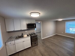 106 S Urbana Ave, Unit 1.5 in Urbana, IL - Building Photo - Building Photo