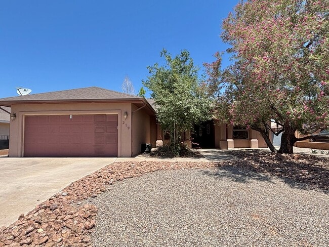 property at 219 Palo Duro