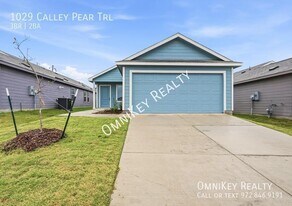 1029 Calley Pear Trl in Princeton, TX - Building Photo