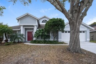 2002 Alafia Oaks Dr in Valrico, FL - Building Photo