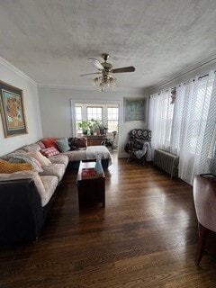 property at 127 St Andrew Rd