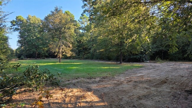 21150 Arnsworth in Montgomery, TX - Building Photo - Building Photo