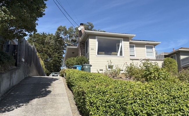 334 Oakview Dr in San Carlos, CA - Building Photo - Building Photo