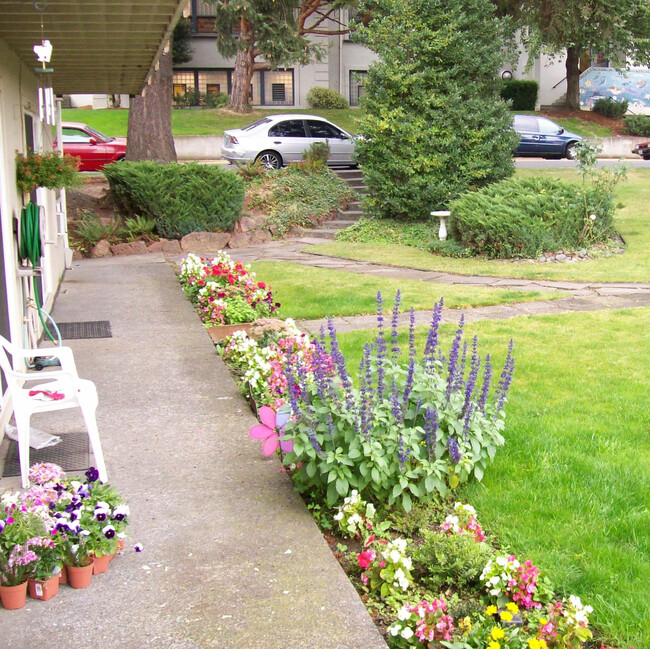 Shorewood Terrace in Milwaukie, OR - Building Photo - Building Photo