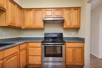 407 Judy St in Branson, MO - Building Photo - Building Photo