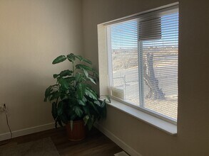 1102 E 2nd St in Pueblo, CO - Building Photo - Building Photo