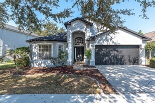 11102 Lakeside Vista Dr in Riverview, FL - Building Photo