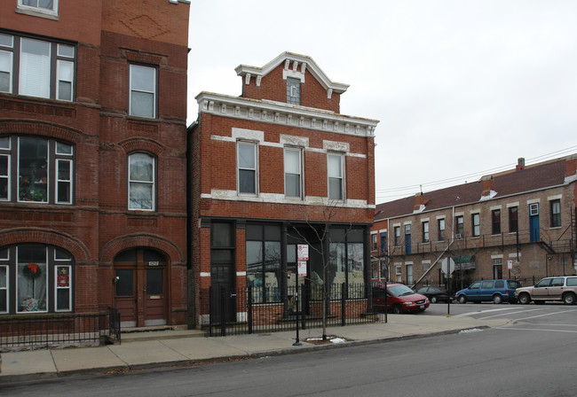 1759 W 17th St in Chicago, IL - Building Photo - Building Photo