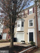 255 Golden Larch Terrace NE in Leesburg, VA - Building Photo - Building Photo