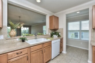 305 Barrington Farm Ct in Georgetown, TX - Building Photo - Building Photo