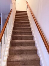 252 W Terraza Way in Mountain House, CA - Building Photo - Building Photo