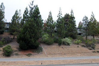 Skyline Hills Apartments II in Oakland, CA - Building Photo - Building Photo