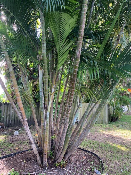 228 SE Park St in Dania Beach, FL - Building Photo