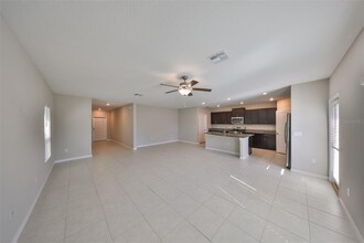 10377 Blue Plume Ct in Riverview, FL - Building Photo - Building Photo