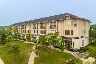 Thompson Square in Milton, ON - Building Photo - Building Photo