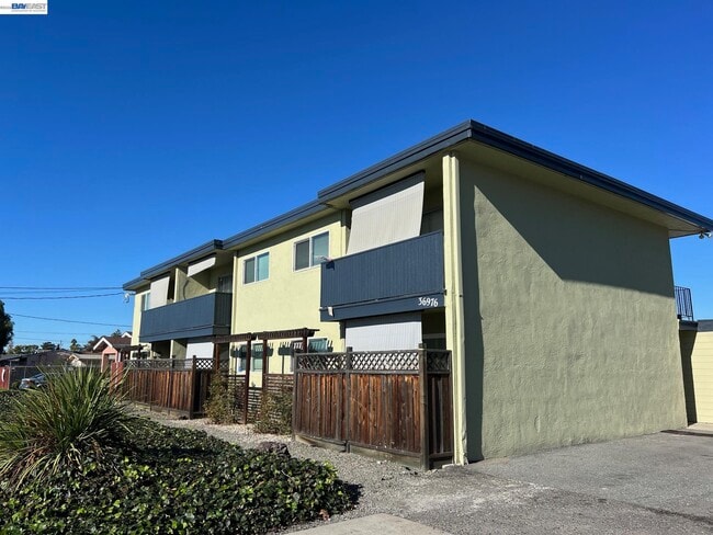 36976 Mulberry St in Newark, CA - Building Photo - Building Photo