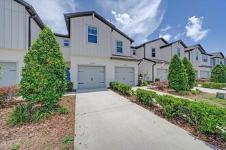 2906 Deer Pine Trail in Land O Lakes, FL - Building Photo - Building Photo