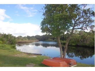 Double Branch Mobile Home Park in Tampa, FL - Building Photo - Building Photo