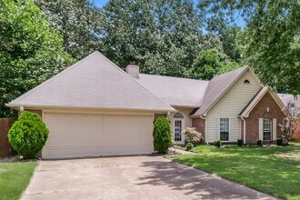 5846 White Ridge Cir E in Olive Branch, MS - Building Photo - Building Photo
