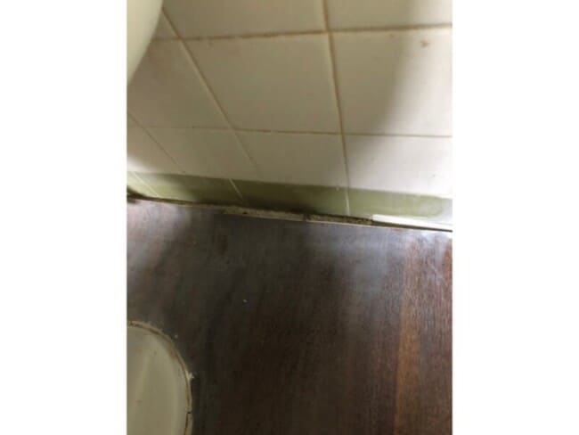 671 Olive unit Rd in Pensacola, FL - Building Photo - Building Photo