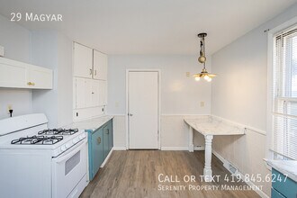 29 Magyar St in Toledo, OH - Building Photo - Building Photo