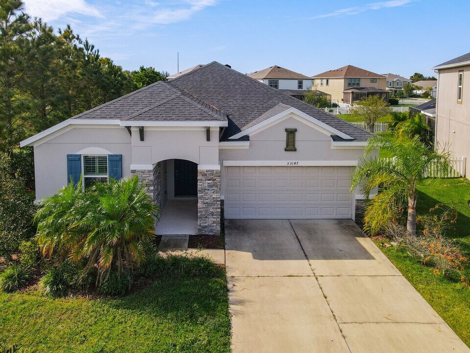 33147 Shadow Branch Ln in Wesley Chapel, FL - Building Photo