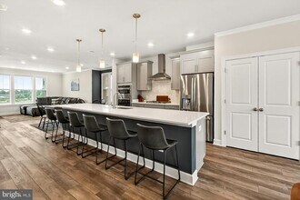 43389 Radford Divide Ter in Ashburn, VA - Building Photo - Building Photo