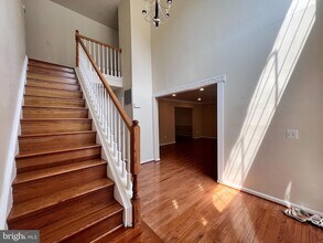8596 Trail View Dr in Ellicott City, MD - Building Photo - Building Photo
