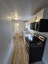 1012 S Lansing St in Mt. Pleasant, MI - Building Photo - Building Photo