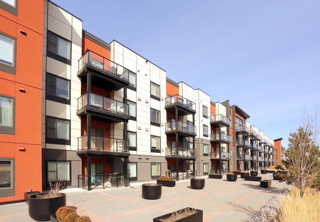 320 Ambleside Link SW in Edmonton, AB - Building Photo