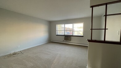 426 1/2 W Touhy Ave in Rosemont, IL - Building Photo - Building Photo