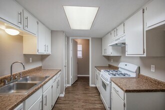 21039 Settlers Valley Dr in Katy, TX - Building Photo - Building Photo