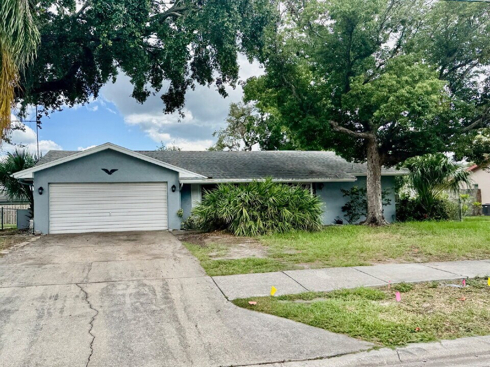 110 19th St in Palm Harbor, FL - Building Photo