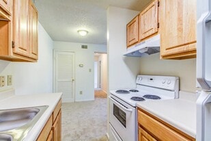 Berkshire Apartments in Virginia Beach, VA - Building Photo