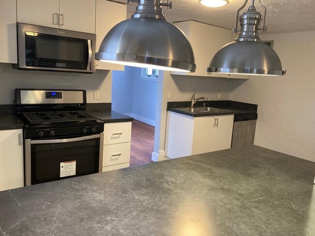 2313 Vodeli St in Pittsburgh, PA - Foto de edificio - Building Photo