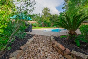 10 Delphinium Pl in The Woodlands, TX - Building Photo