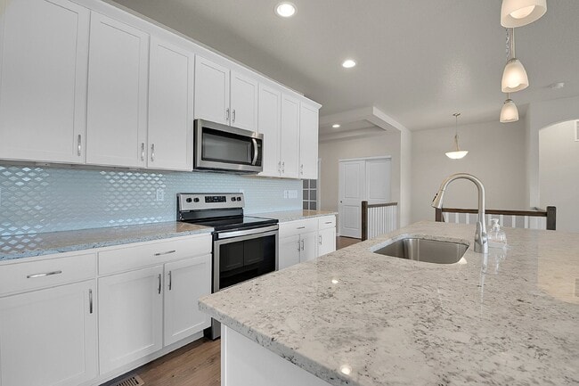 11921 Barrentine Lp in Parker, CO - Building Photo - Building Photo